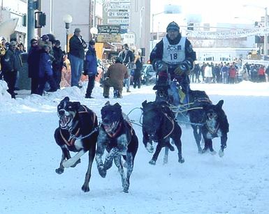 Egil Ellis leaving Day 3 2004 ONAC