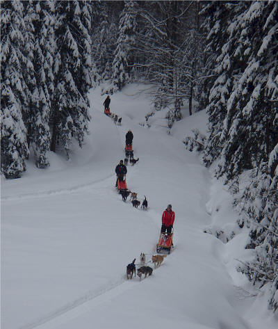 Musher Course