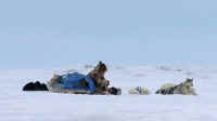 Phillip Kigusiutnak of Arviat 