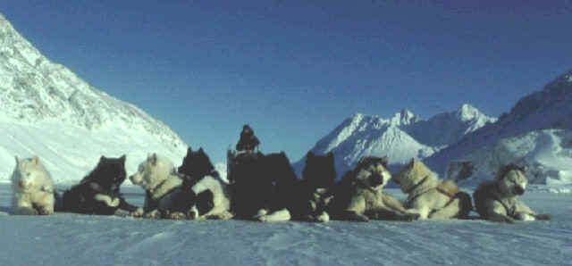 Dogs of the Sirius Patrol