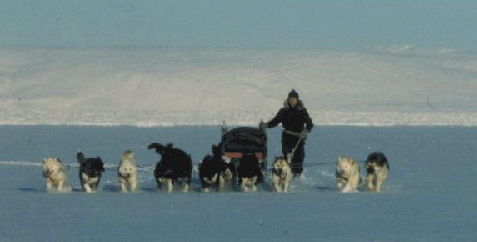 Sirius Patrol Team