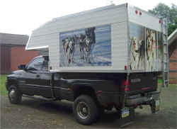 Happy Dogs from Benny's Husky Kennel