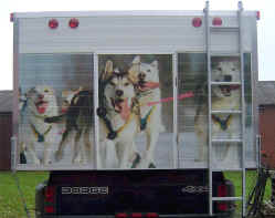 Happy Dogs from Benny's Husky Kennel