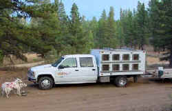 Lucy Bettis Truck