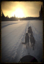 Kathy Beaupr Photo : Early morning, my favorite view... Hay River, NT