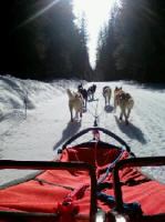 Gianni Borrelli Photo : Sunny Run in Washington