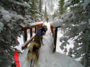 No lack of snow in the Colorado high country this year.