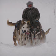 Lindy Howe Photo - Kevin Quist training for the Can Am 2011 