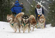 Tim McElravy Team 2009 Cascade Quest