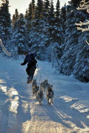 Skeeter Stitt Dog Boarding