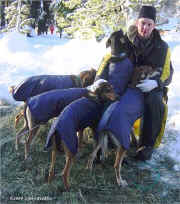 Buddy Streeper & Dogs at Atta Boy 300 Campout