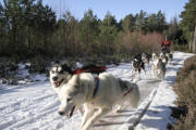 Stuart Alexander training in North Scotland