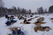 Trapper Creek Checkpoint in the Don Bowers Race