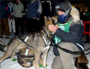 Matt Carstens winner of the 2009 Can Am 250 with leader Bear