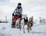 Angie Carter Photo : Corbin Carter- ISDRA 3-dog Junior Gold Medalist & 2013 Laconia Dick Moulton Junior World Championship Trophy.