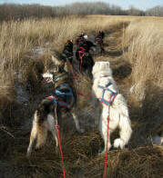 Anneliese Cusack - Waiting for snow in Manitoba