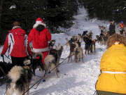 New Hampshire Mushers Christmas Mush