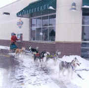 Don Deckert at the Coffee Cuby in Albertville, MN