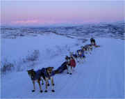 Denali Highway Team at Sunset