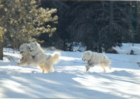 Valerie Dockter Photo : Did someone say treat