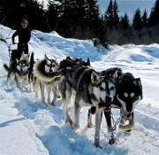 Spencer Egbert Photo : Spring Run on the Original Iditarod Trail