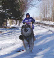 Cody Fawley & Wyatt having fun