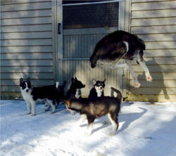 Joyce Frantz Photo : Mom teaching how to levitate