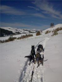 Jenny Greger Photo : First sled run of 2013