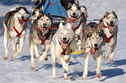 Racing at Haliburtion, Ontario, photo by Lyn Winans