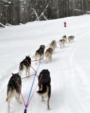 Linda/Mike Herdering Photo: Can we make a stop here?