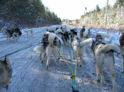 Rush hour in Togo, MN at the 2006 Boot Camp