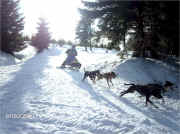 Oberwiesenthal Germany Race