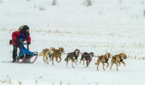 Nick Shearman Photo : Kathy MacKay's team Five more feet and we have lift off