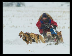 Nick Shearman Photo : Kathy MacKay cold Cannington curve