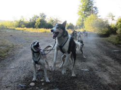 Sally Manikian Photo : Tell me that joke again, Taz, you're so funny!