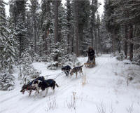 Michael Paul Photo : Holden training for the junior Triple Crown: West Yellowstone, Ashton and Logan