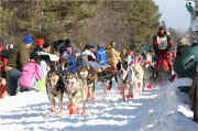 2008 Beargrease Start Michael Bestgen 