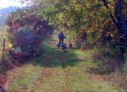 Andy Romness Fall Training on the Douglas Trail