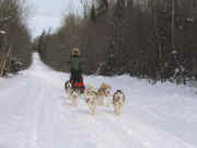 Jerry and Kay Sivets training a new dog