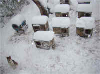 October Snow in Upstate New York