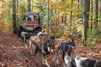 Ed & Tasha Stielstra Photo : Sharing Fall Colors