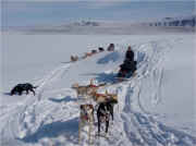 Paige Drobny & Cody Strathe Caribou Hunt