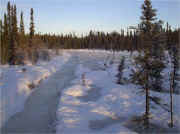 Icy Trails in Willow Alaska