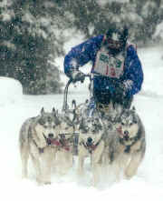  Doug Jones at SHCGD Drummond Island Race in Michigan.