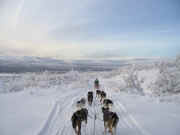 Training near Whitehorse, Yukon