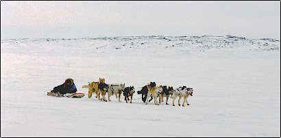 Nunavut Style Racing