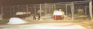 Kennel in Winter