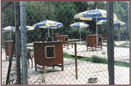 Egil's kennel