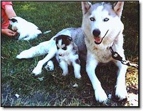 Dakota & Baby Kanuck