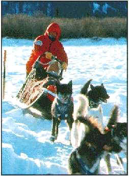 Frank Turner crossing rough ice near McCabe Creek